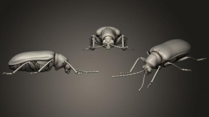 نموذج ثلاثي الأبعاد لآلة CNC الحشرات 63- خنفساء الحشرات